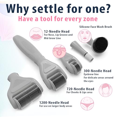 6-in-1 Titanium Derma Roller for Face and Body ? Kit with Micro-Needles (0.25mm) and (0.3mm) ? 300, 720, and 1200 Needles for Men and Women