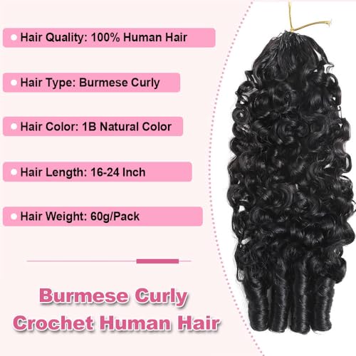 Burmese Curly Crochet Hair Extensions for Black Women - 180g, 16 Inch