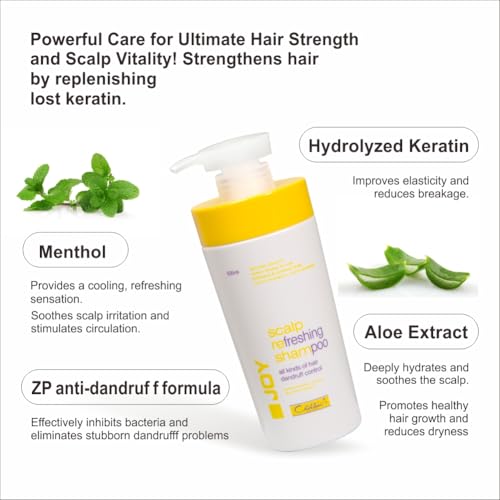Chihtsai JOY Scalp Refreshing Shampoo 18.1oz Dandruff Control All Hair Types