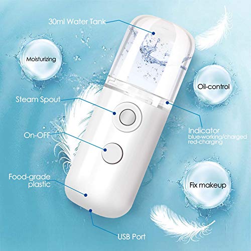 GIVERARE Nano Facial Steamer, USB Rechargeable Mist Sprayer 30ml