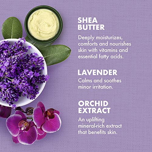 SheaMoisture Daily Hydration Body Oil Virgin Coconut Oil For Dry Skin Paraben Free 8 oz & Bath, Body and Massage Oil Lavender Wild Orchid Calming Moisturizer for Sensitive Skin 8 oz