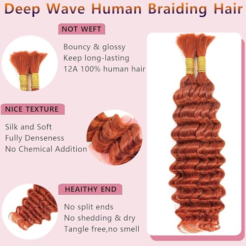DiexrLamx B-Ginger-350 22 Inch Curly Braiding Hair Extensions for Women