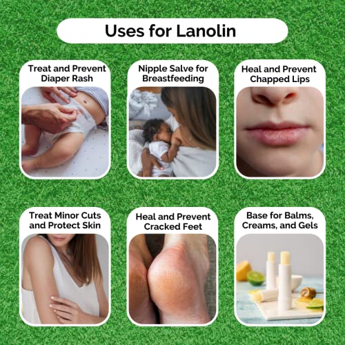 Lanolin (Anhydrous) - Ultra Refined Butter - Use for Lotion, Cream, Lip Balm, Oil, Stick, or Body Butter 4oz - Natural Nipple cream - lip balm By HalalEveryday¢ç