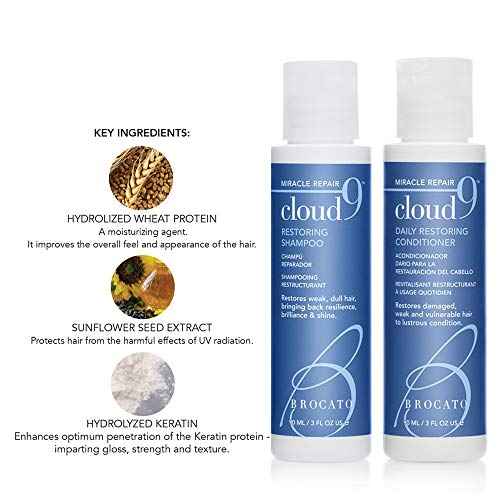 Value Bundle: Vibrastrait Pro Vibrating Flat Iron, 1-inch with Travel Case & Travel Size Cloud 9 Restoring Shampoo & Restoring Conditioner, 3 Fl Oz | Professional Hair Styling Tools