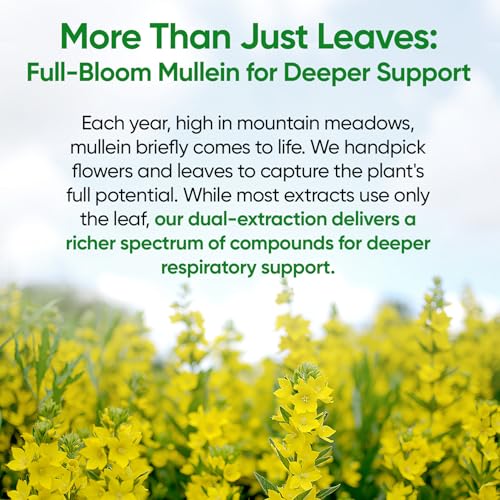 Mullein Drops for Lung Health with 7 Herbs - 120 Servings