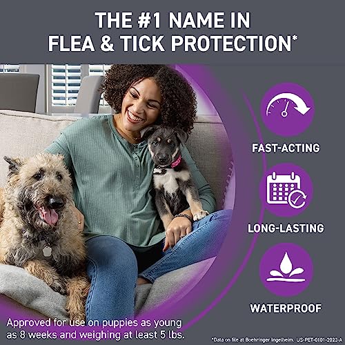 Frontline Plus Flea and Tick Treatment for Large Dogs Up to 45 to 88 lbs. 3 Treatments