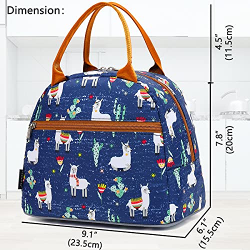 FlowFly Lunch Bag Tote Bag Lunch Organizer Lunch Holder Insulated Lunch Cooler Bag for Women/Men,Owl