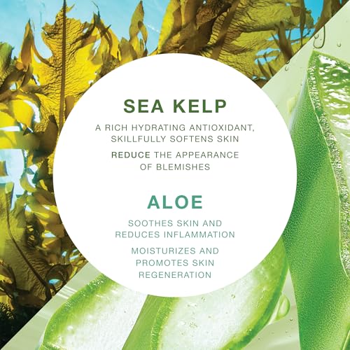 Moisturizing & Healing Body Wash with Sea Kelp & Aloe Vera ? Hydrating Cleanser for Dry Skin ? Vitamin-Enriched Shower Gel ? 33.8 fl oz