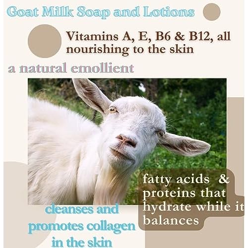 Goat Milk Soap set of 2 BOGUE No.36 WELLNESS Immunity Blend- Stimulating Essential Oils Eucalyptus, Lemon, Ginger, Frankincense & Tea Tree with Black Cumin oil, Cats Claw herb top