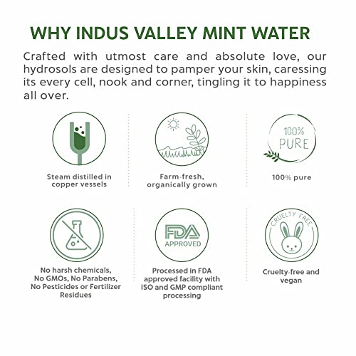 INDUS VALLEY Organic Mint Fresh Pore Tightening Skin Toner - (250ml), Natural Ingredients for Acne and Pore-Reducing, Gently Exfoliates, Deep Cleans, Brightens and Balances Skin for a Healthy Glow