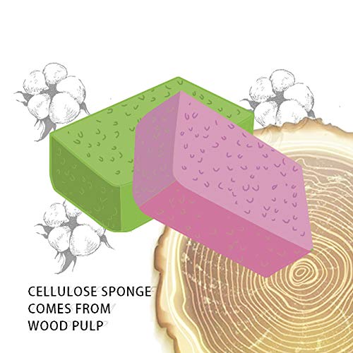 Facial Sponges (60 Count) for Natural Beauty, Exfoliation, and Deep Facial Cleansing | White and Beige Sponges Included, 2 Different Shapes for Choice | 100% Cellulose Facial Sponges by Greenet