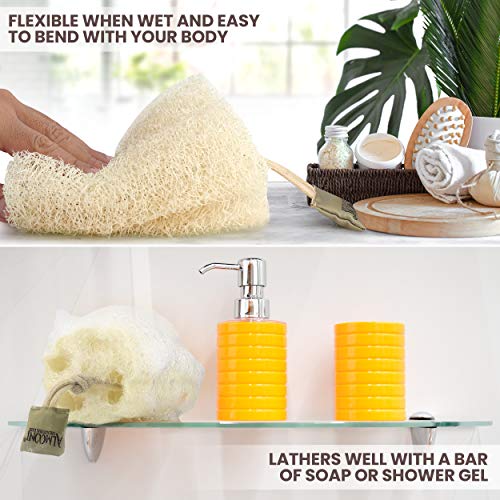 ALMOONI Natural Egyptian Loofah Sponge, 3-Pack Large Body Scrubber