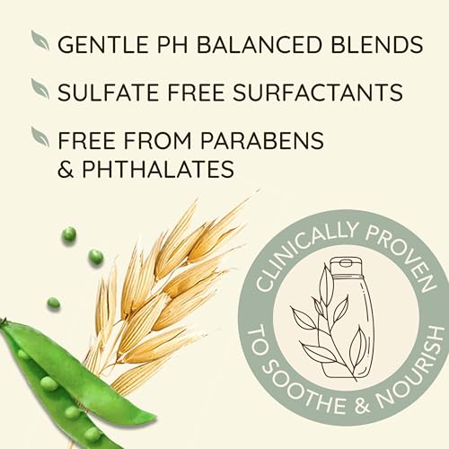 Aveeno Plant Protein Blend Shampoo for Strong Healthy-Looking Hair,12 fl oz,(Pack of 2)