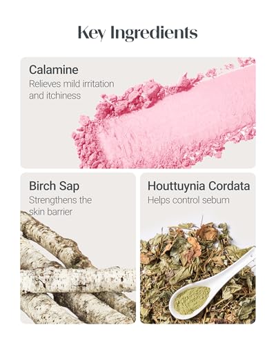 THESAEM Saemmul Perfect Pore Pink Pact - Sebum Control Pressed Powder 12g