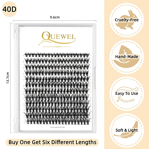 QUEWEL Cluster Lashes 240Pcs 40D 0.07D Mix 8-14mm DIY