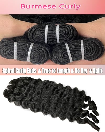 Burmese Curly Human Hair Bundles 16 18 20 Inch 12A Grade