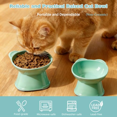 KSIA Klear Elevated Cat Bowls 2 Pack Green - Tilted 15° Raised Food & Water Bowls