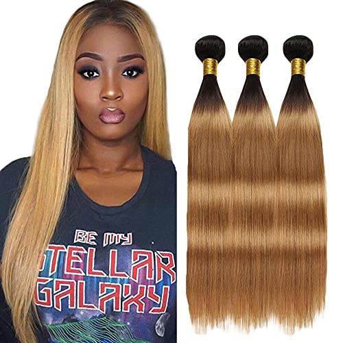 Ombre Straight Human Hair Bundles 1B/27 Honey Blonde 3 Pack