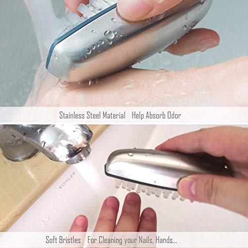 Stainless Steel Hand & Nail Brush Cleaner for Odor Removal
