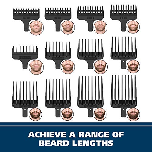 Wahl Stainless Steel Lithium Ion 2.0+ Beard Trimmer Kit