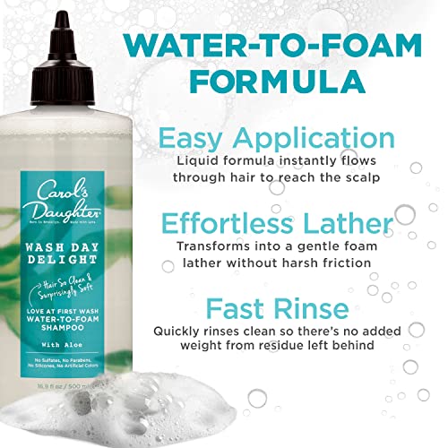 Carol¡¯s Daughter Wash Day Delight Love at First To Foam Sulfate Free Shampoo with Aloe and Micellar Water, Paraben and Silicone Free, Micellar Shampoo for Kinky, Curly Hair, 16.9 fl oz