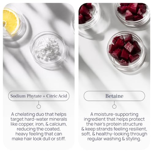 PUREANCE HydraCleanse Clarifying Shampoo for Buildup & Oily Hair