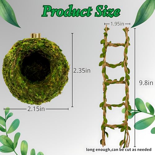 Jumping Spider Hideout & Rope Bridge Decor Set