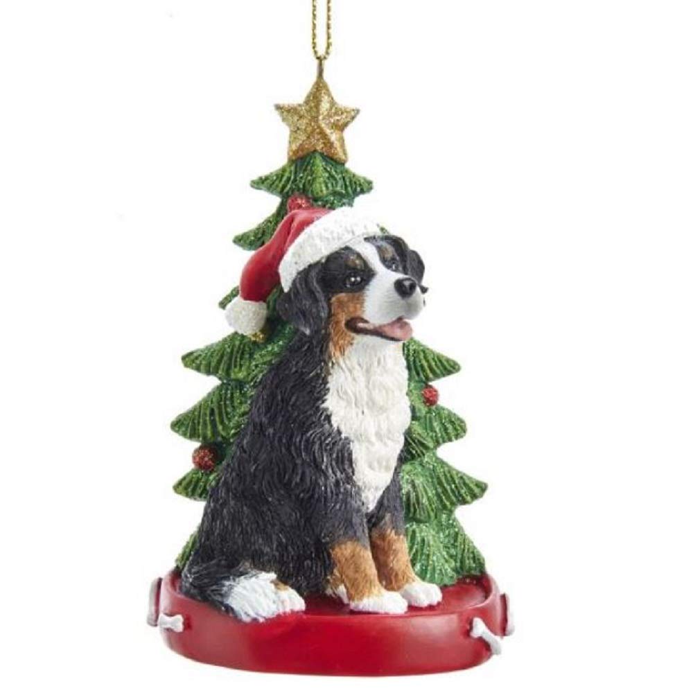 Bernese Mountain Dog Wearing Santa Hat with Christmas Tree Ornament E0369BM New