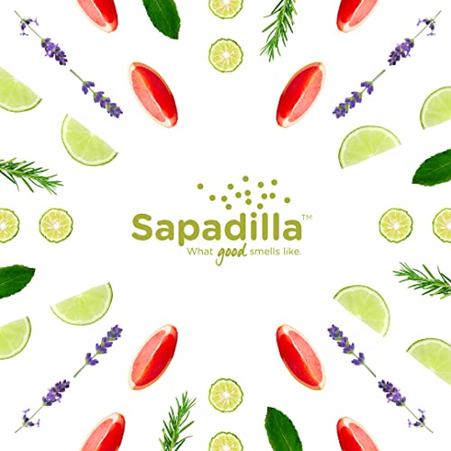 Sapadilla Liquid Hand Soap - Sweet Lavender + Lime - Made with 100% Pure Essential Oil Blends, Cleansing & Moisturizing, Aromatic & Fragrant Hand Soap, Plant Based, Biodegradable, 12 Ounce (Pack of 1)