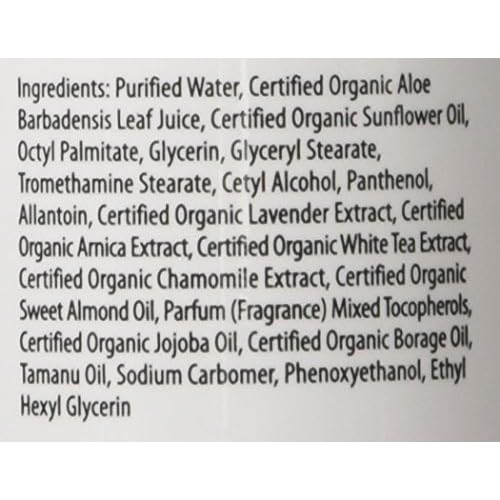Primal Elements Body Lotion, Moisturizing Shea Butter Cream for Hands & Body, 8 oz - Cupcake