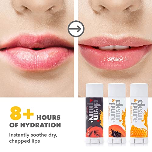 Clean & Pure Bee Sweet Lip Balms, 3 Pack | Manuka Honey Beauty Products | Lip Care Set With 100% All Natural Beeswax and Vitamin E Oil | Flavored Lip Balm for Dry, Chapped Lips | Made in Australia