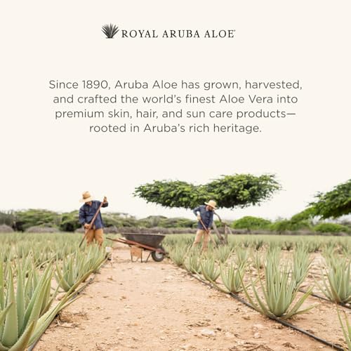 Royal Aruba Aloe Luxe Foot Cream - Nourishing and Hydrating Formula with Minty Scent - 6 Oz tube