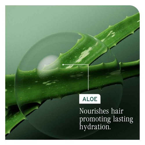 Biolage Hydra Source Daily Leave-In Tonic - Moisturizes & Detangles, For Dry Hair, Infused with Micro-Filtered Aloe Vera & Fermented Hyaluronic Acid, Vegan & Paraben-Free, 8.5 Fl Oz
