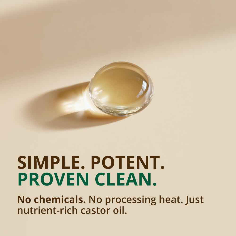 RejuveNaturals Castor Oil (16oz Glass Bottle) USDA Certified Organic, 100% Pure, Cold Pressed, Hexane Free. Boost Hair Growth for Thicker, Fuller Hair, Lashes & Eyebrows.