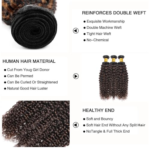 Fridnae Ombre Kinky Curly Hair Bundles P1B30 - 3 Pack, 16-20 Inch