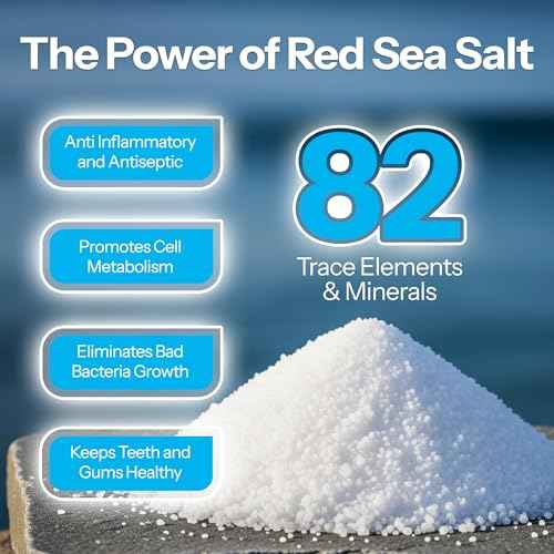 H2Ocean Blue Green Foam Soap - Tattoo Foam Soap for Tattoo Aftercare - Tattoo Care with Aloe Vera - Tattoo Moisturizer Soap - 7 oz