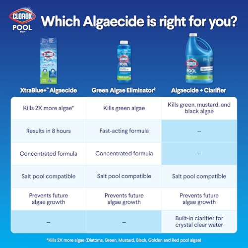 Clorox Pool&Spa Algaecide and Clarifier, 128 Fl Oz – Prevents Algae