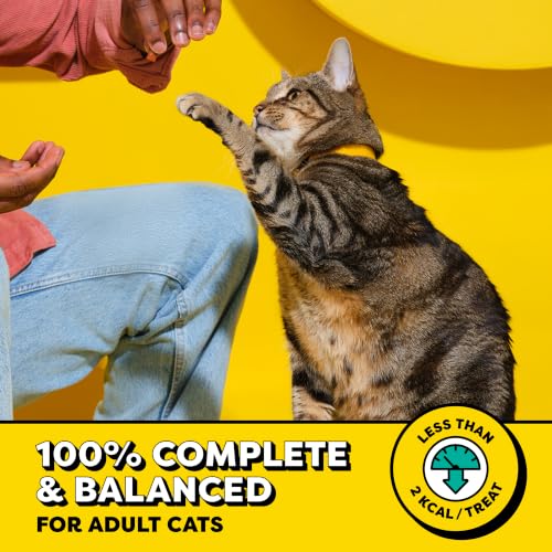 Temptations Classic Crunchy and Soft Chicken Cat Treats 1.88 lb / 30 oz