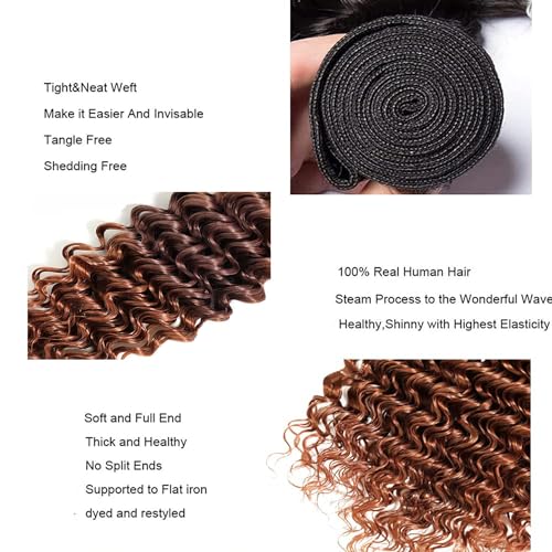 T1B430 Ombre Brown Bundles Human Hair 16 18 20 Inch Deep Wave Human Hair Bundles Ombre Bundle T1B/4/30 Brown Bundle Unprocessed Brazilian Virgin Hair for Black Women