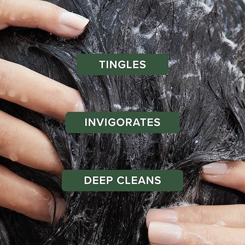 Tea Tree Shampoo for Oily Hair | Deep Cleansing Scalp Care