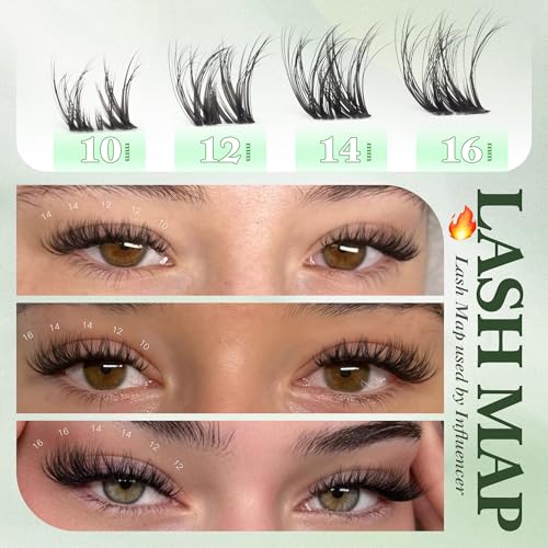 Natural Wispy Lash Clusters with Clear Band - D-Curl 10-16mm