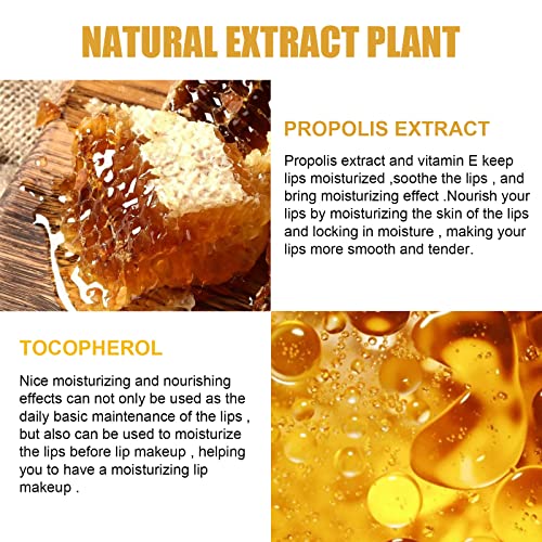 4Pcs Lip Balm Honey Pot, Propolis Moisturizing Honey Lip Mask Lip Balm, Reduces Lip Lines, Prevention Dry and Cracked Lip Scrubs Exfoliator. ¡¦