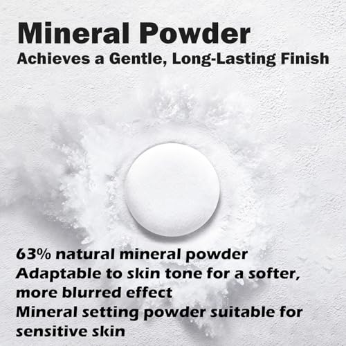 Translucent Oil Control Setting Powder for Oily Skin, 8g