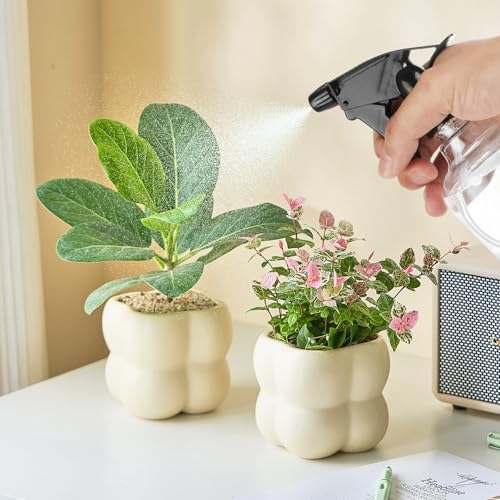 20 Pack 8oz Spray Bottles - Refillable Plastic with Adjustable Nozzle for Cleaning, Hair, Plants & Household Use