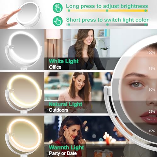 20X/1X LED Makeup Mirror with Lights & Phone Holder