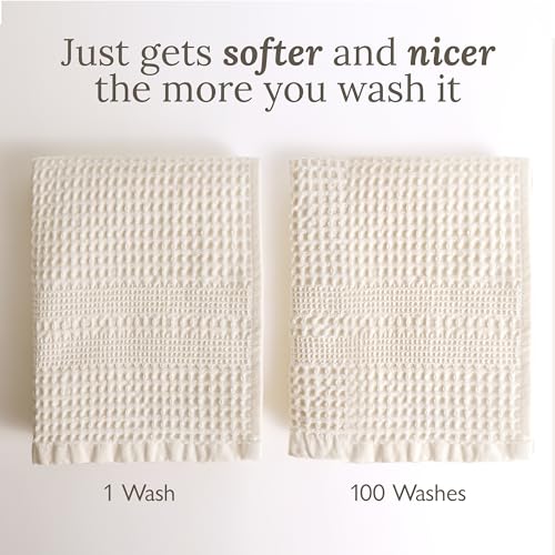 GILDEN TREE Waffle Washcloths Set of 4, Quick Dry Cotton