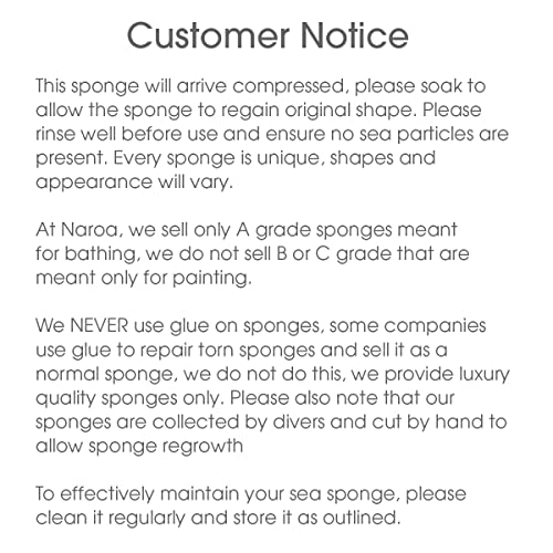 Naroa Natural Sea Sponge X Large | Soft Bath Loofah