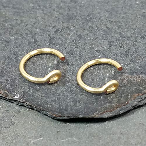 Set of 2 Fake Clip On Nose Rings 20g - Gold Tone Tiny Faux Piercing Hoops - No Piercing Needed