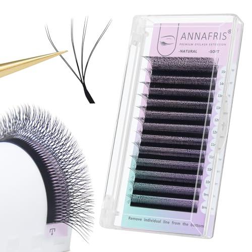 Double Tips 4D W Premade Fan Eyelash Extensions Volume Self Fanning False Lashes Faux Mink Matte Black Cluster Lash Extensions(0.07 D,8-15mm Mix)