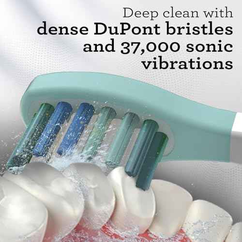 GuruNanda Lion & Lamb 2.0 Replacement Brush Head (Pack of 6), Round-Ended, Soft Bristles to Help with Plaque Control, BPA-Free, IPX7 Waterproof - White